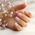 BASE BB.webp