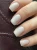 pro 199.webp