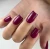 07 Flamenco.webp