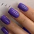 017 Blueberry.webp