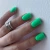 028 Peppermint.webp