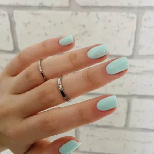 062 Velvet mint.webp