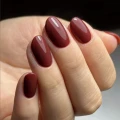 251.webp